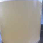 The wild yeast water fase 2