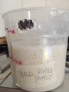 The wild yeast water fase 3